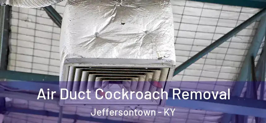  Air Duct Cockroach Removal Jeffersontown - KY