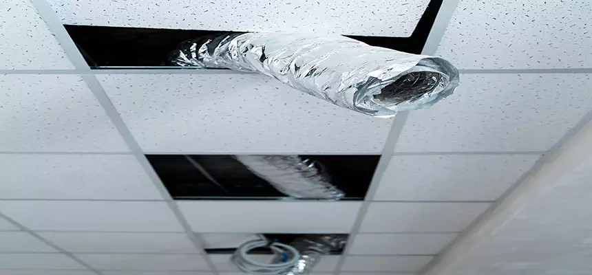 Our Air Duct Pet Hair Removal Services in Jeffersontown, KY