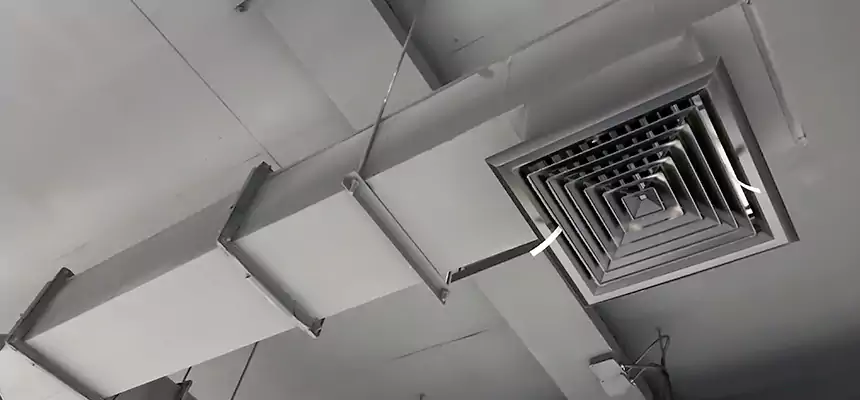 Our Rodent Droppings In Vents Services in Jeffersontown, KY