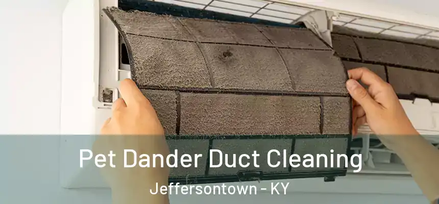  Pet Dander Duct Cleaning Jeffersontown - KY