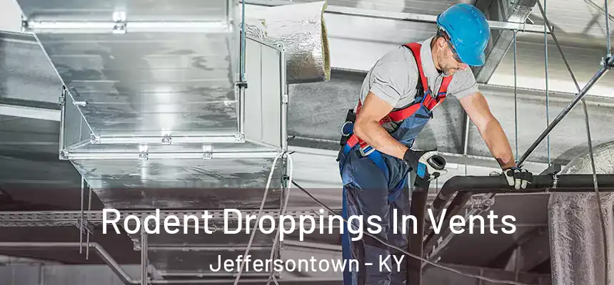  Rodent Droppings In Vents Jeffersontown - KY