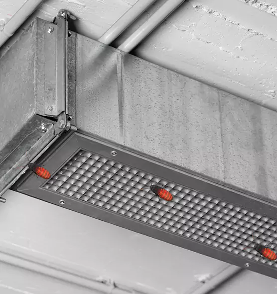 About Air Duct Cockroach Removal in Jeffersontown, KY