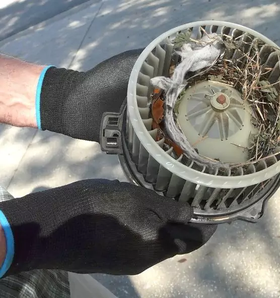 About Air Duct Rat Removal in Jeffersontown, KY