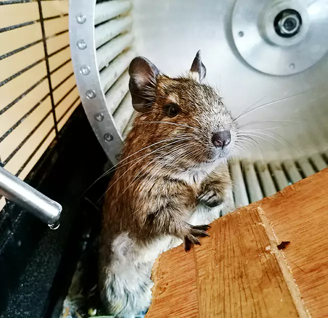 Why Homeowners & Businesses Trust Us Jeffersontown, KY