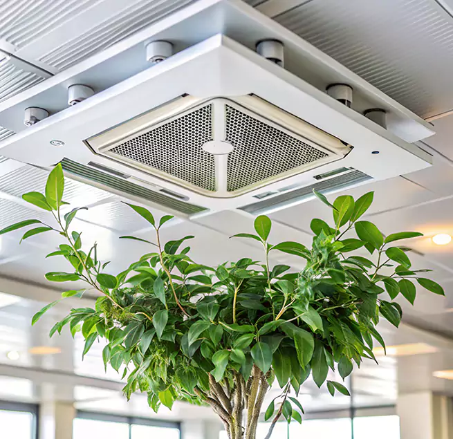 Why Homeowners & Businesses Trust Us in Jeffersontown, KY