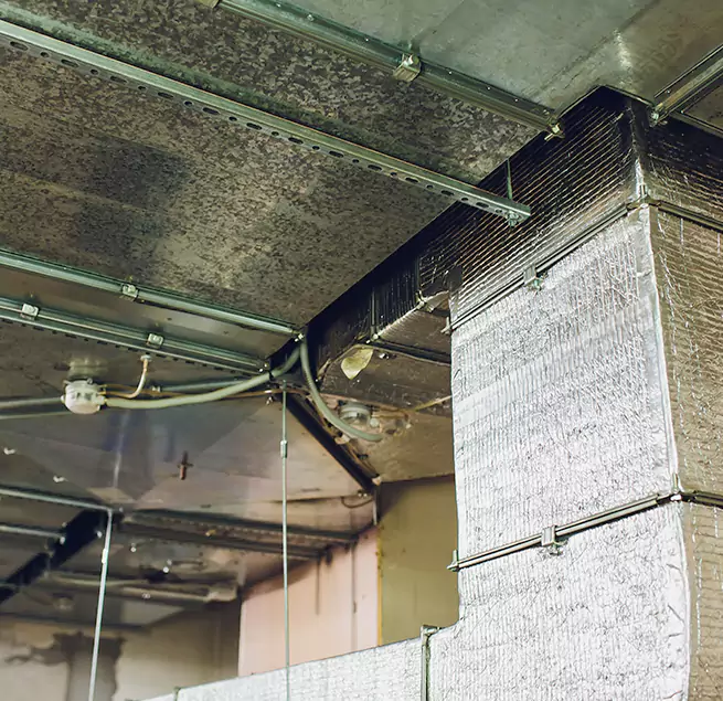 Why Homeowners & Businesses Trust Us in Jeffersontown, KY?